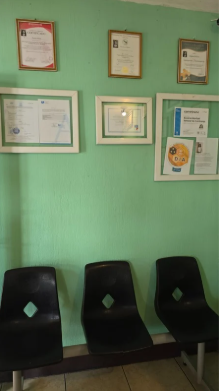 Instalaciones Susy Naturals 4